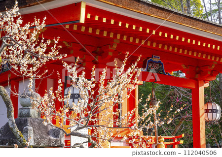 Early spring in Kyoto, Kitano Tenmangu Shrine, plum blossoms and Jishusha 112040506