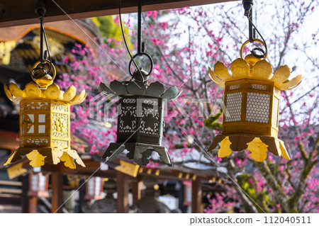 Kyoto in early spring Kitano Tenmangu Shrine flying plum blossoms and main hall 112040511