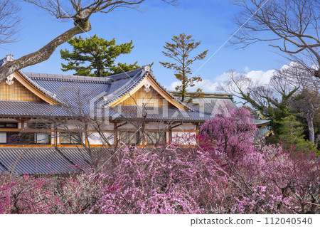 早春的京都 北野天滿宮梅園“花庭” 早春的京都 北野天滿宮梅園“花庭” 112040540