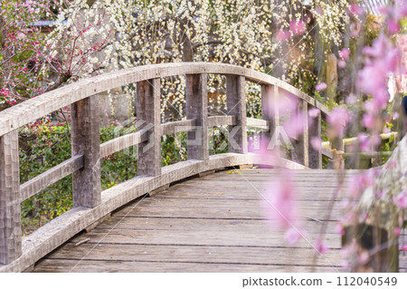 早春的京都、北野天滿宮、梅園「花園」、御手洗川太鼓橋 早春的京都、北野天滿宮、梅園「花園」、御手洗川太鼓橋 112040549