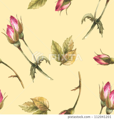 Watercolor wild rose hip buds leaves, dog cancer, brier rose flowers im bloom Botanical seamless pattern for label, wrapping paper, fabric, wallpaper Hand drawn illustration isolated beige background. Watercolor wild rose hip buds leaves, dog cancer, brier rose flowers im bloom Botanical seamless pattern for label, wrapping paper, fabric, wallpaper Hand drawn illustration isolated beige background. 112041201
