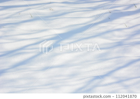 Tree shadow 112041870