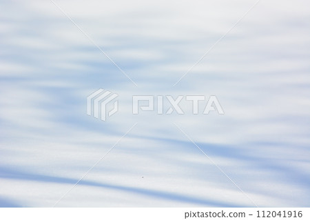 Tree shadow 112041916