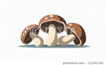 什塔克菇白色背景 112042342
