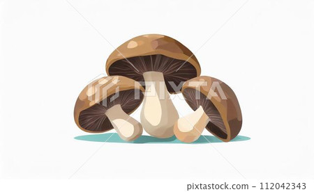 什塔克菇白色背景 112042343