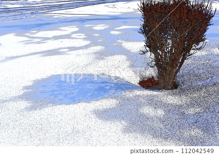 Photo illustration Photo illustration 112042549