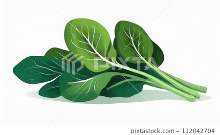 菠菜白色背景 112042704