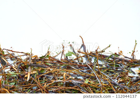 Dried sprigs,fruit trees for tea. Aroma flavor for fish meat on grill 112044137