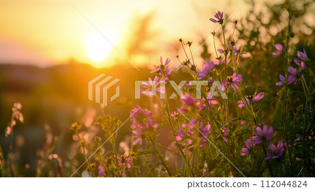 AI-generated content. Wildflowers at Sunset in Countryside Field AI-generated content. Wildflowers at Sunset in Countryside Field 112044824