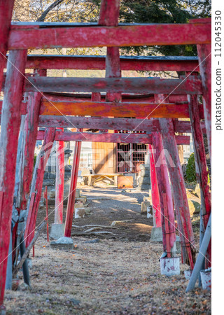 A series of old torii gates [Lifespan Inari Daimyojin] 112045330