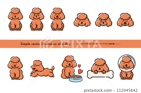 A cute dog/pet illustration set of a brown toy poodle with a handwritten feel that can be used as illustrations or icons. 112045642