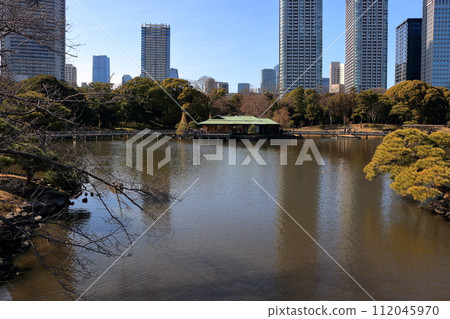 Shiori-no-ike pond in Hamarukyu in central Tokyo Japan Shiori-no-ike pond in Hamarukyu in central Tokyo Japan 112045970