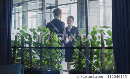 Man and woman in suits discussing work in office, business communication, view from office Man and woman in suits discussing work in office, business communication, view from office 112046155