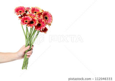 PNG, pink flowers, isolated on white background. 112046333