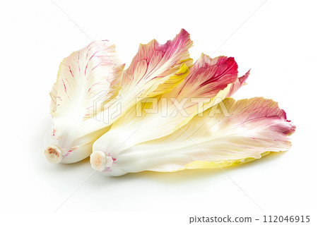 Endive lettuce isolated on white background. Fresh green salad leaves from garden Endive lettuce isolated on white background. Fresh green salad leaves from garden 112046915