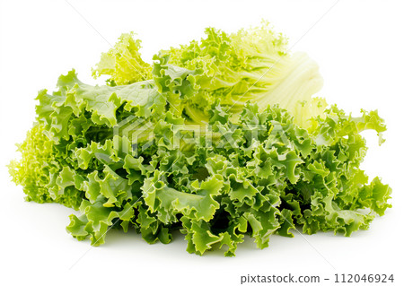Endive or butterhead lettuce isolated on white background. Fresh green salad leaves from garden 112046924