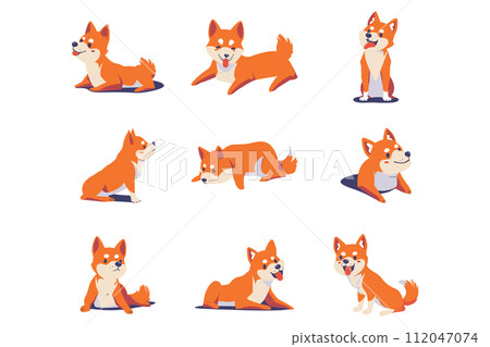 shiba inu dog collection flat style on background shiba inu dog collection flat style on background 112047074