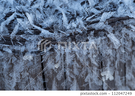 Crystal of snow	 112047249