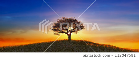 Solitary Tree Silhouetted Against a Fiery Sunset Sky Solitary Tree Silhouetted Against a Fiery Sunset Sky 112047591