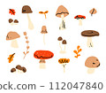 Mushroom set of vector illustrations isolated on white. White mushroom, chanterelles, honey agaric, mushrooms, fly agarics. Cartoon style. 112047840