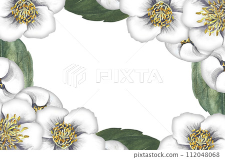 A frame with jasmine flowers. Fragrant white spring flowers. A hand-drawn watercolor illustration. For packaging, greeting and invitation cards and labels. For banners, flyers. 112048068