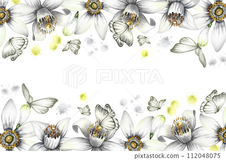 A border with orange flowers, a fragrant orange tree flower. A frame of citrus flowers with butterflies. Hand-drawn watercolor illustration. For packaging perfumes, postcards and labels. For banners. A border with orange flowers, a fragrant orange tree flower. A frame of citrus flowers with butterflies. Hand-drawn watercolor illustration. For packaging perfumes, postcards and labels. For banners. 112048075