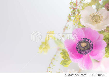 I believe in you: purple anemone 112048580