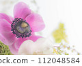I believe in you: purple anemone 112048584