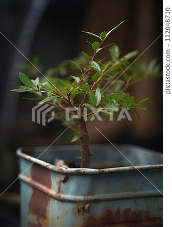 Plant sprouts in tin can. Generative Ai image 112048710
