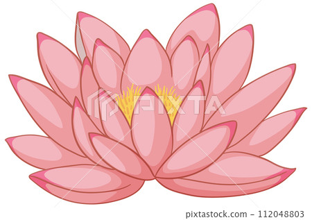 Serene Pink Lotus Flower Illustration 112048803