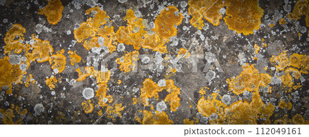 Old natural stone covered with black lichen and moss. Stone texture 112049161