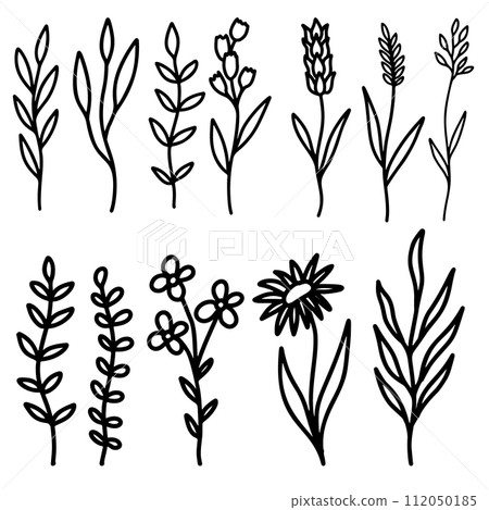 Set of hand drawn floral branches and flourishes. Floral text dividers. Design element for greeting card, t shirt, poster. Vector illustration Set of hand drawn floral branches and flourishes. Floral text dividers. Design element for greeting card, t shirt, poster. Vector illustration 112050185