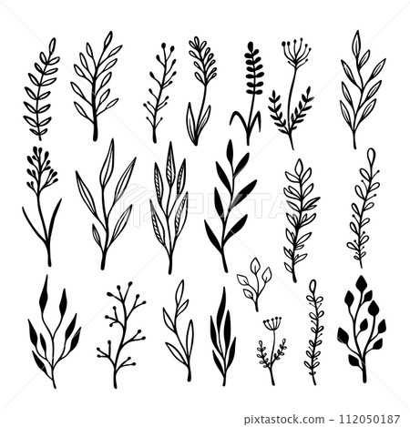 Set of hand drawn floral branches and flourishes. Floral text dividers. Design element for greeting card, t shirt, poster. Vector illustration Set of hand drawn floral branches and flourishes. Floral text dividers. Design element for greeting card, t shirt, poster. Vector illustration 112050187