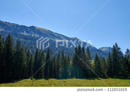 Alpine Pines, Peaks, and the Azure Sky. Summer Evergreens: Forests beneath Blue Skies in the Alpine. Mountain Pastoral Serenity: Grazing Pastures and Pine-Laden Slopes. Nature's Harmony: Alpine Alpine Pines, Peaks, and the Azure Sky. Summer Evergreens: Forests beneath Blue Skies in the Alpine. Mountain Pastoral Serenity: Grazing Pastures and Pine-Laden Slopes. Nature's Harmony: Alpine 112051029