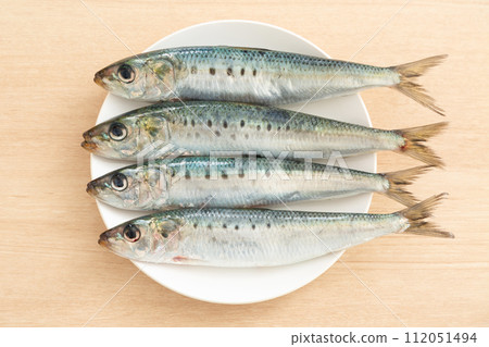 沙丁魚 112051494