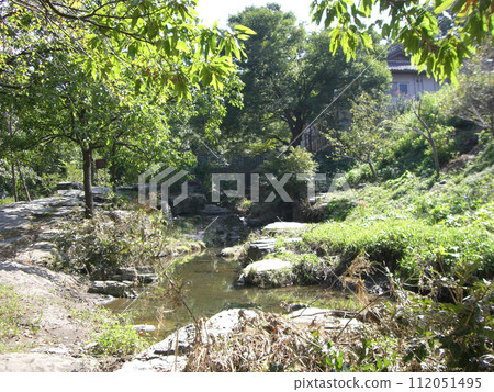 A stream flowing through the trees 112051495