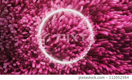 3d render of pink anemone algae swaying underwater with neon circle 3d render of pink anemone algae swaying underwater with neon circle 112052564