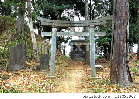 Torii of Fujizuka in Kisoro [Saitama City, Saitama Prefecture] 112052968
