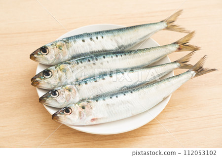 沙丁魚 112053102