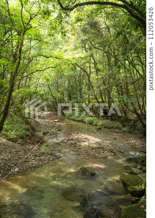 Shallow river flowing under the green forest 112053426