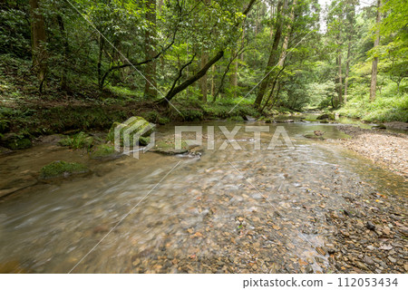 A shallow river with many pebbles at the bottom flowing with a green forest in the background 112053434