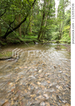 A shallow river with many pebbles at the bottom flowing with a green forest in the background A shallow river with many pebbles at the bottom flowing with a green forest in the background 112053436