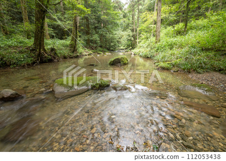 A shallow river with many pebbles at the bottom flowing with a green forest in the background A shallow river with many pebbles at the bottom flowing with a green forest in the background 112053438