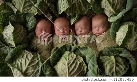 AI-generated content. Quartet of Newborns Enveloped in Cabbage Greenery 112053490