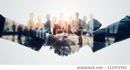 Multinational groups and business networks 112053562