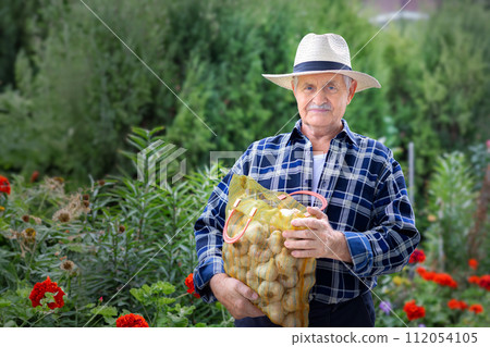 Gardener proudly holding harvest of garlic Gardener proudly holding harvest of garlic 112054105