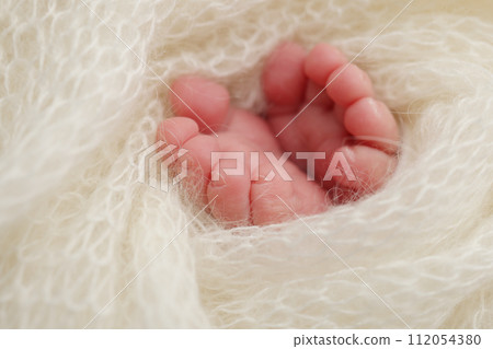The tiny foot of a newborn baby. Soft feet of a new born in a wool white blanket. Close up of toes, heels and feet of a newborn. Macro photography. 112054380