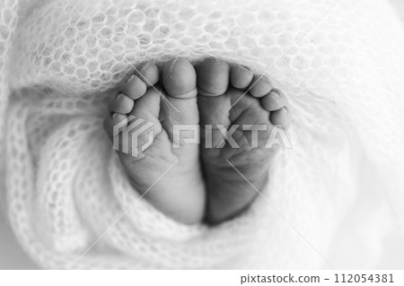 The tiny foot of a newborn baby. Soft feet of a new born in a wool blanket. Close up of toes, heels and feet of a newborn. Black and white Macro photography. 112054381
