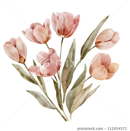 Watercolor bouquet of pink tulips isolated on white background. 112054571