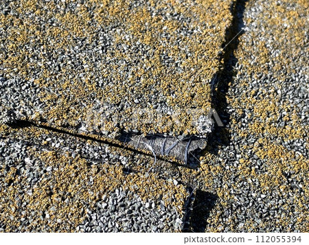 由於年代久遠，石板屋頂已經搖搖欲墜，長滿了青苔。 112055394